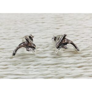 Silver Studs - Dolphin