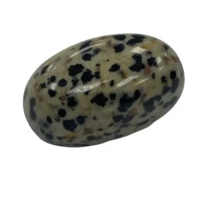 Tumblestones - Dalmatian Jasper