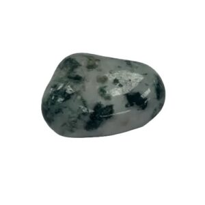 Tumblestones - Tree Agate