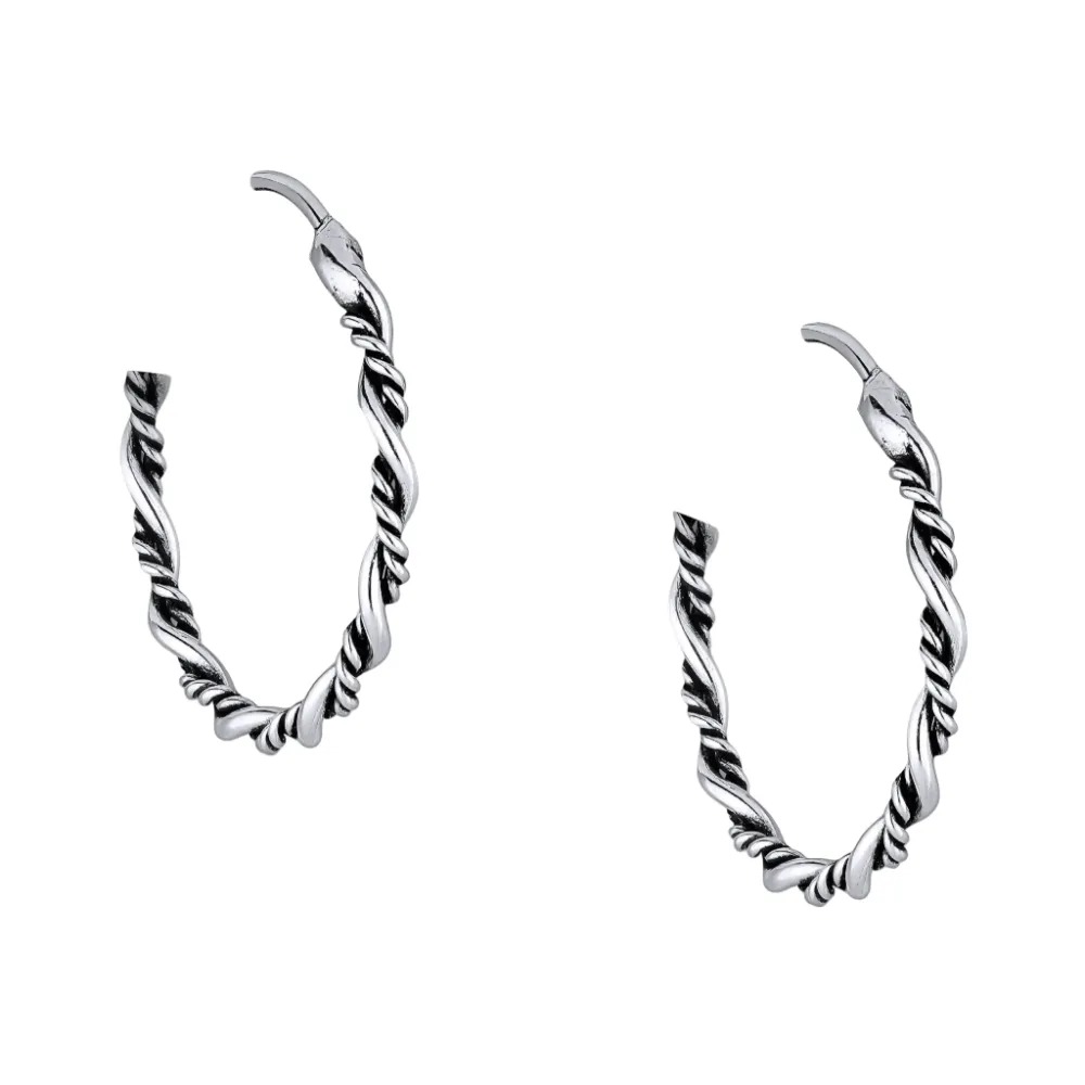 Silver Hoops